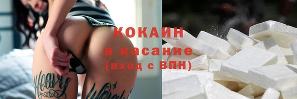 крисы Белокуриха