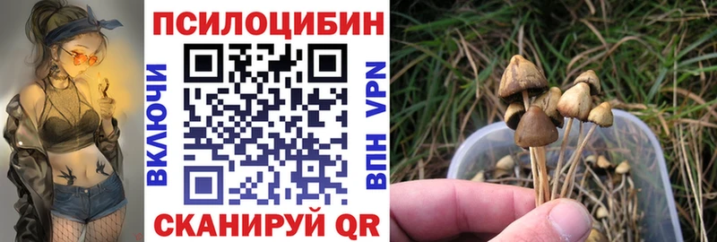 Псилоцибиновые грибы мухоморы  Городовиковск 