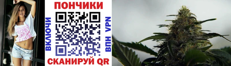Каннабис планчик  Городовиковск 